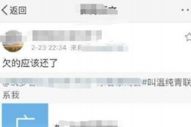 魏都如何避免债务纠纷？专业追讨公司教您应对之策